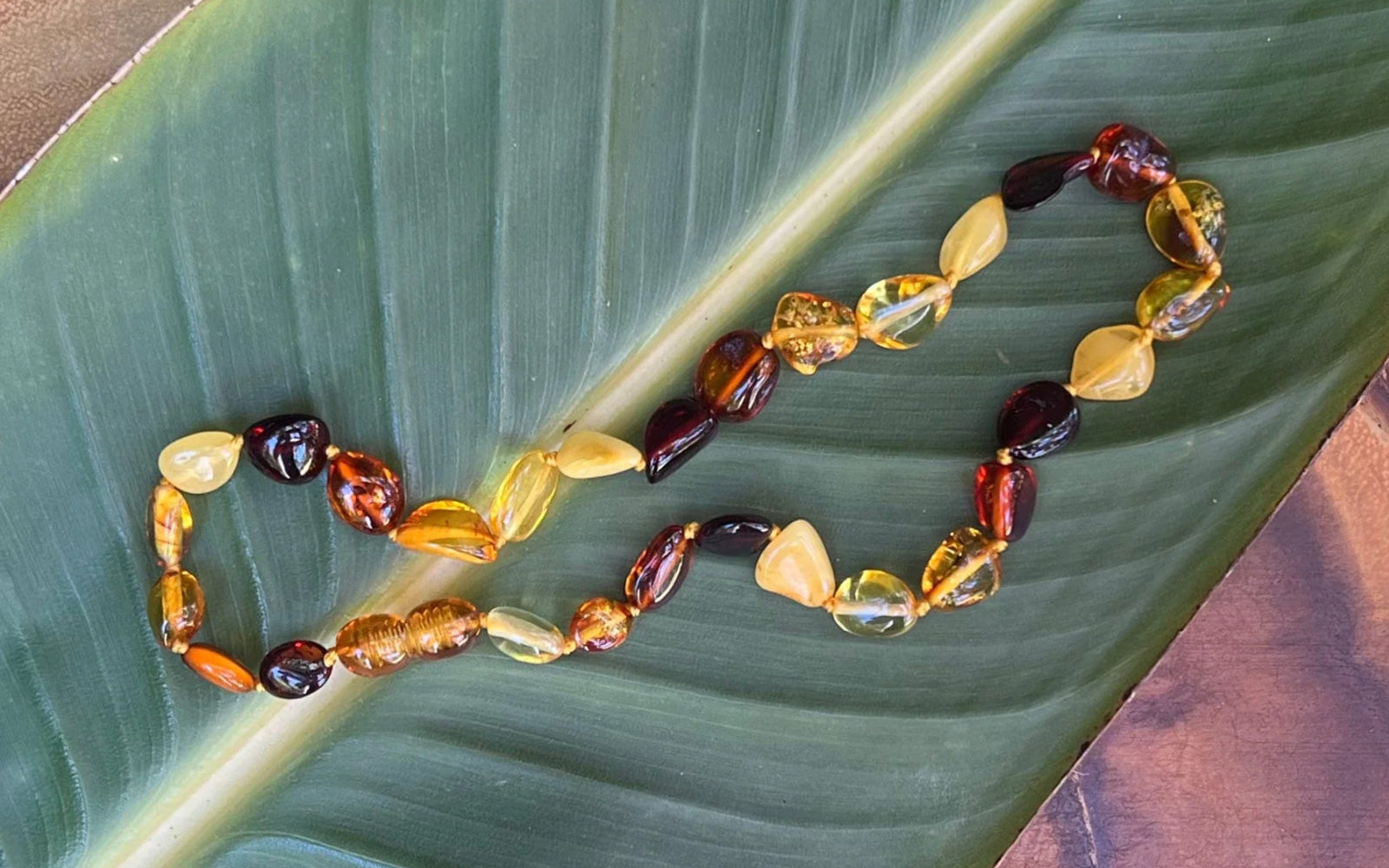 13" Baltic Amber Baby Bead Necklace