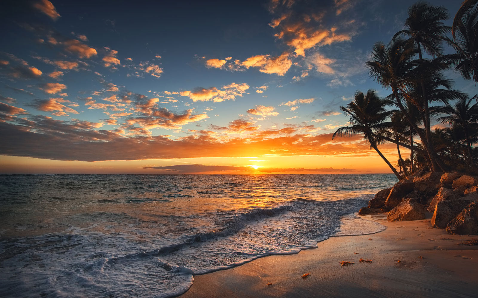 Great Gifts to Buy from a Hawaii Gift Shop