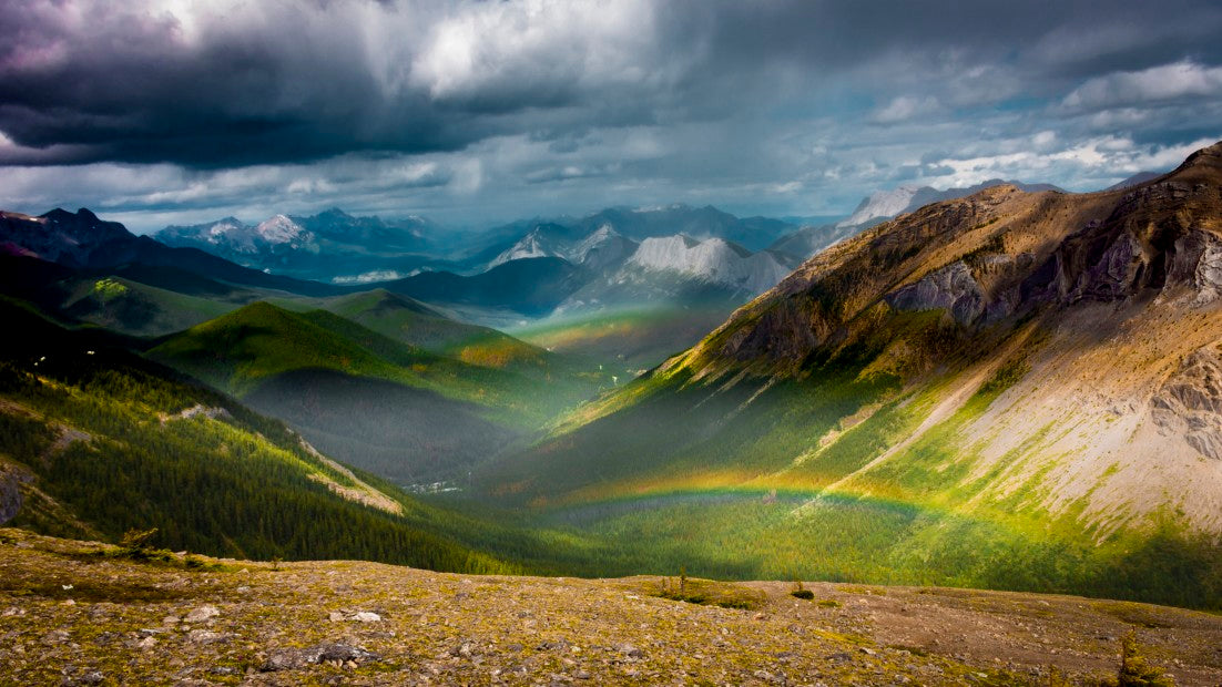 Jasper the supreme nurturer, Jasper National Park
