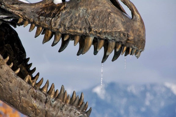 Teeth on Dinosaur sculpture