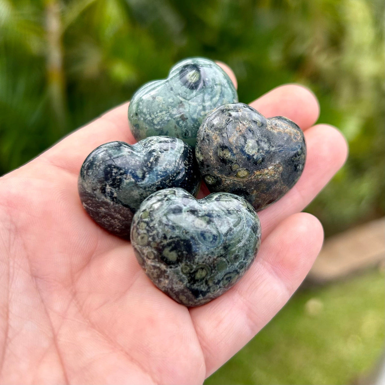 Kambaba Jasper Hearts