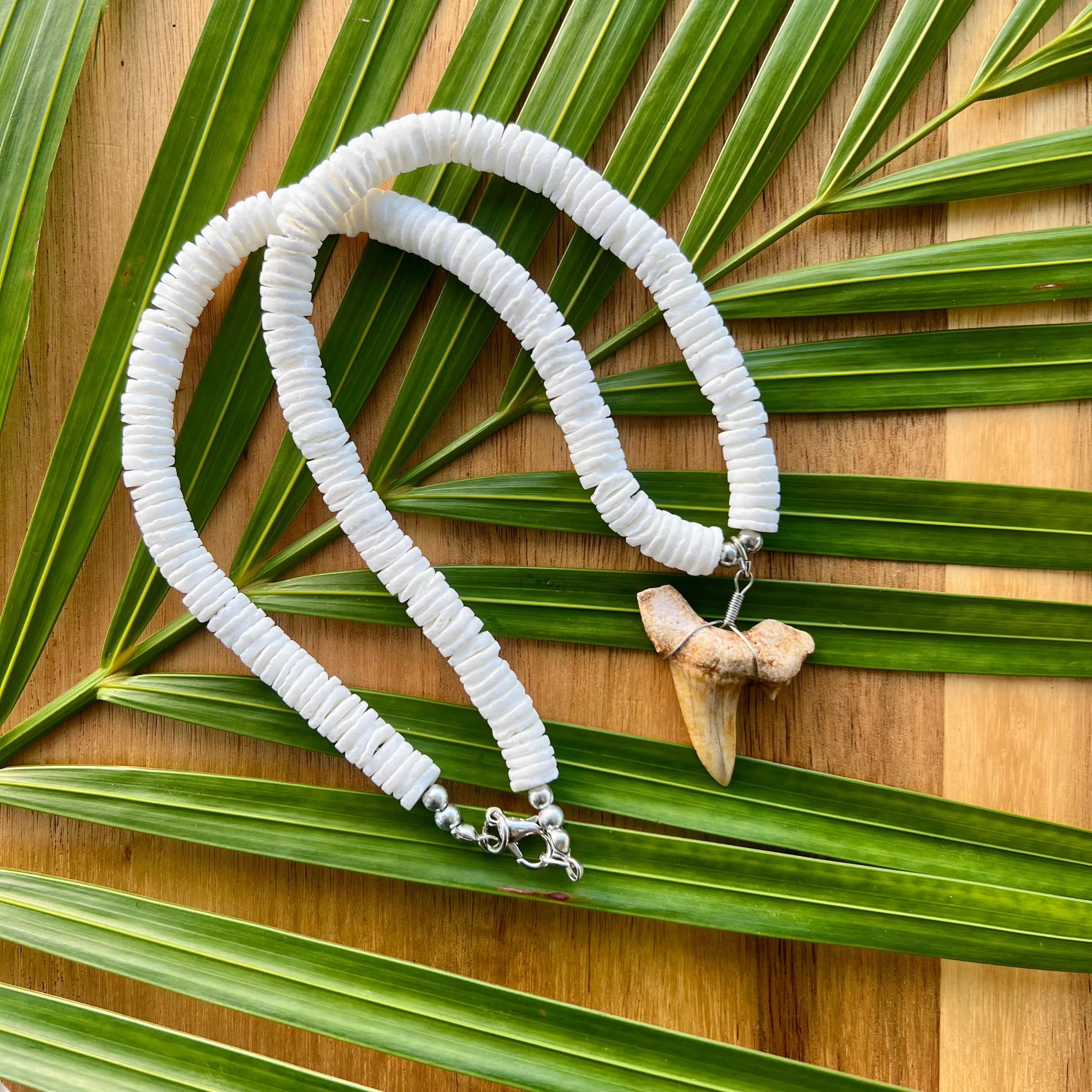 Coconut Bead Necklace Fossil Shark Tooth | Whaler's Locker