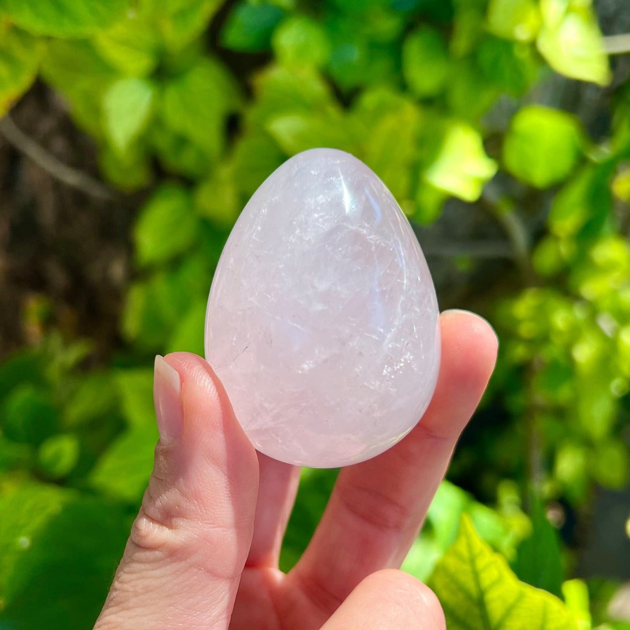 Polished Rose Quartz Egg