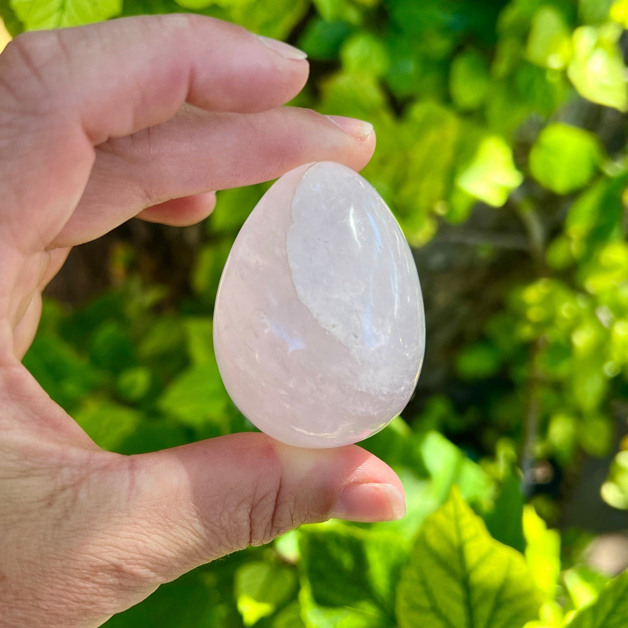 Polished Rose Quartz Egg