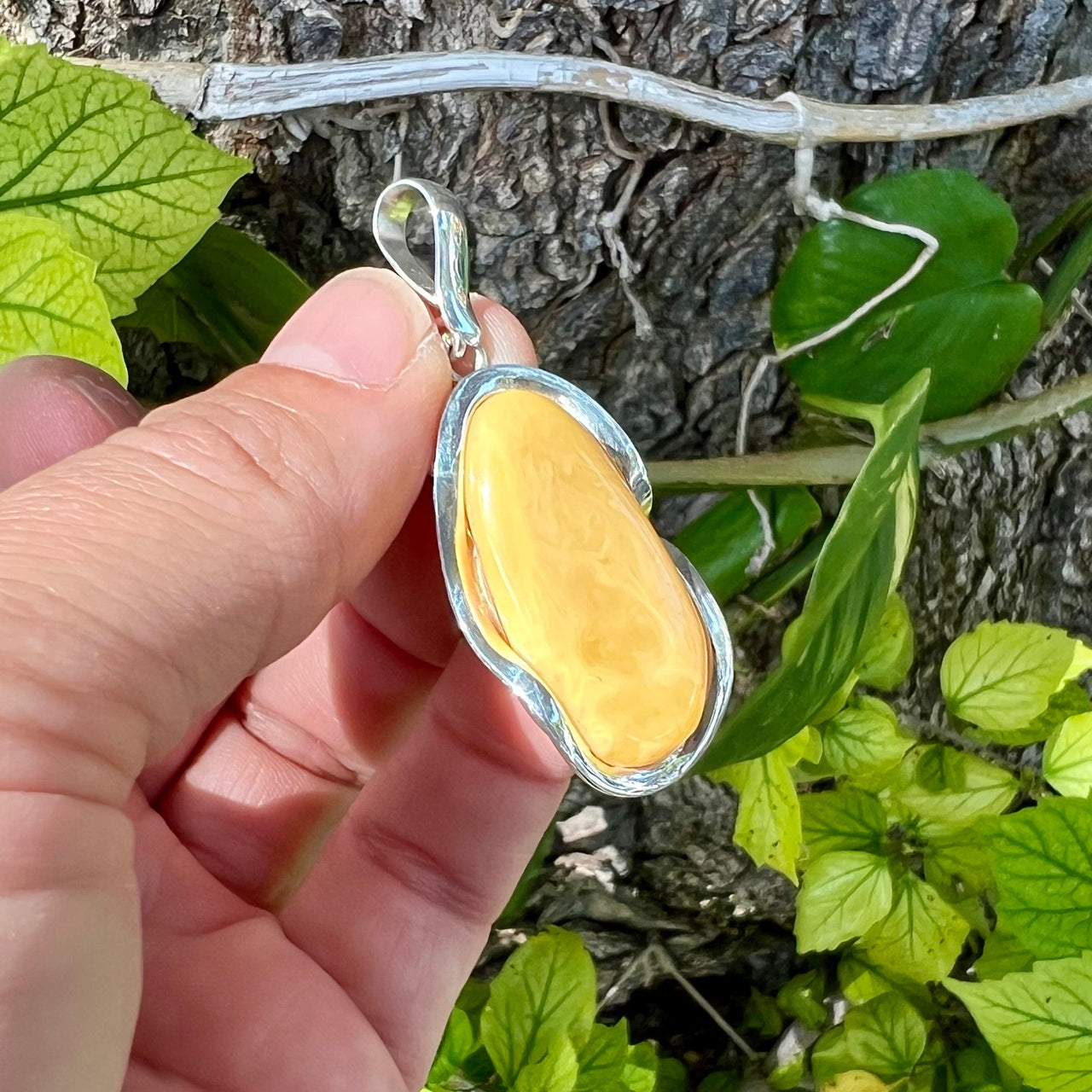 Unique Buttery Lemon Baltic Amber Pendant - BAP64
