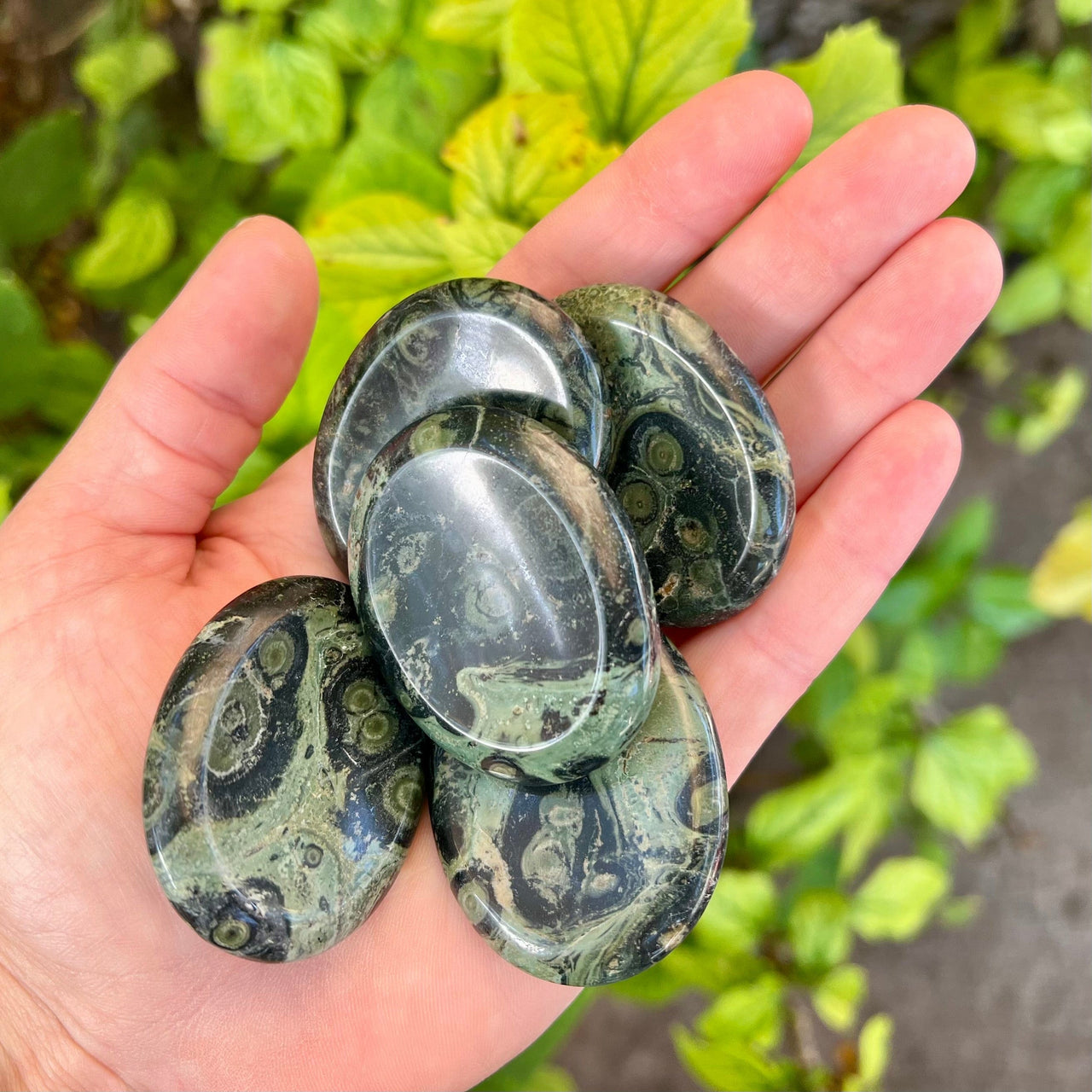 Kambaba Jasper Worry Stones