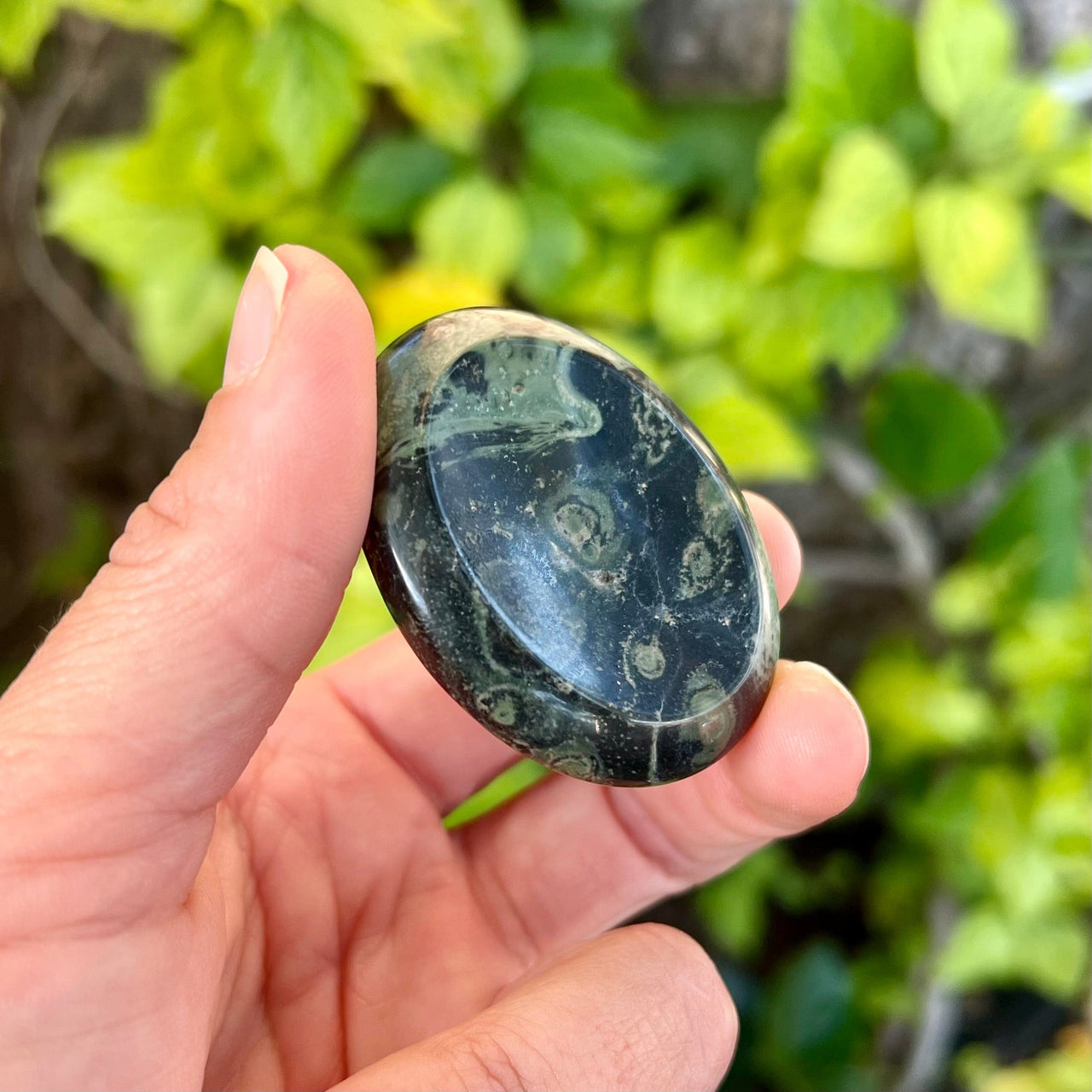 Kambaba Jasper Worry Stones