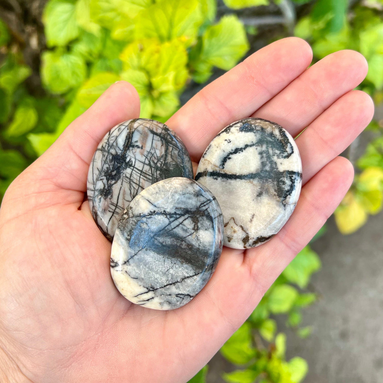 Picasso Jasper Worry Stones