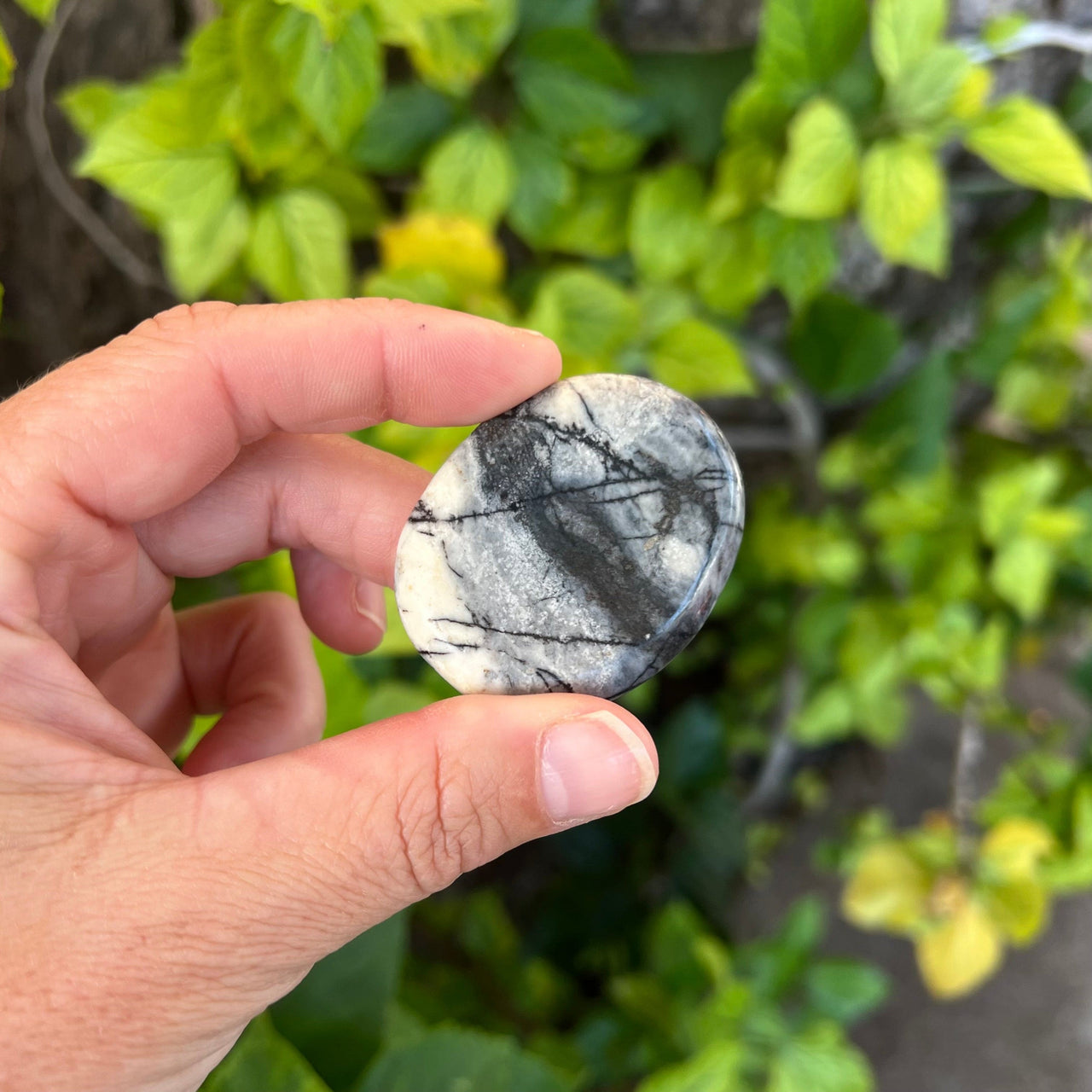 Picasso Jasper Worry Stones