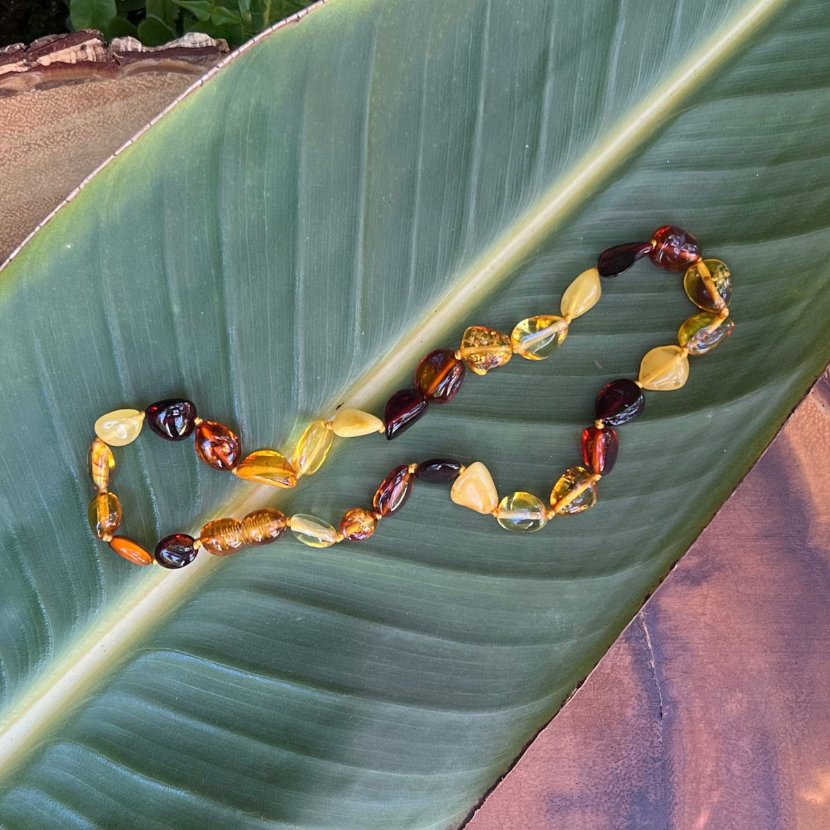 13" Baltic Amber Baby Bead Necklace Whaler's Locker