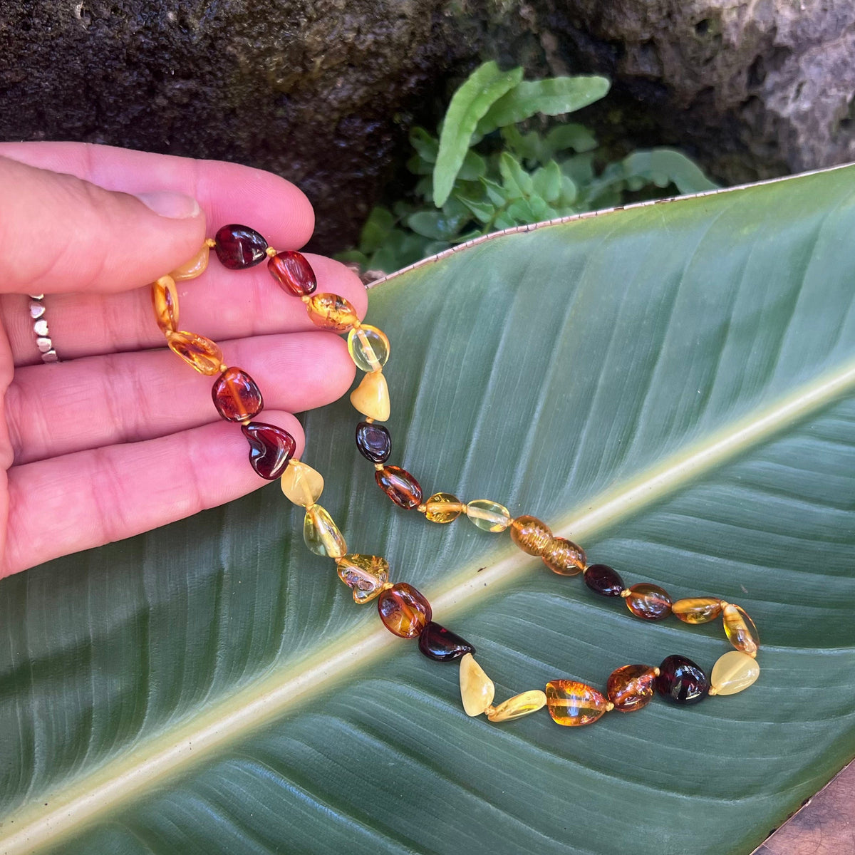 13" Baltic Amber Baby Bead Necklace Whaler's Locker