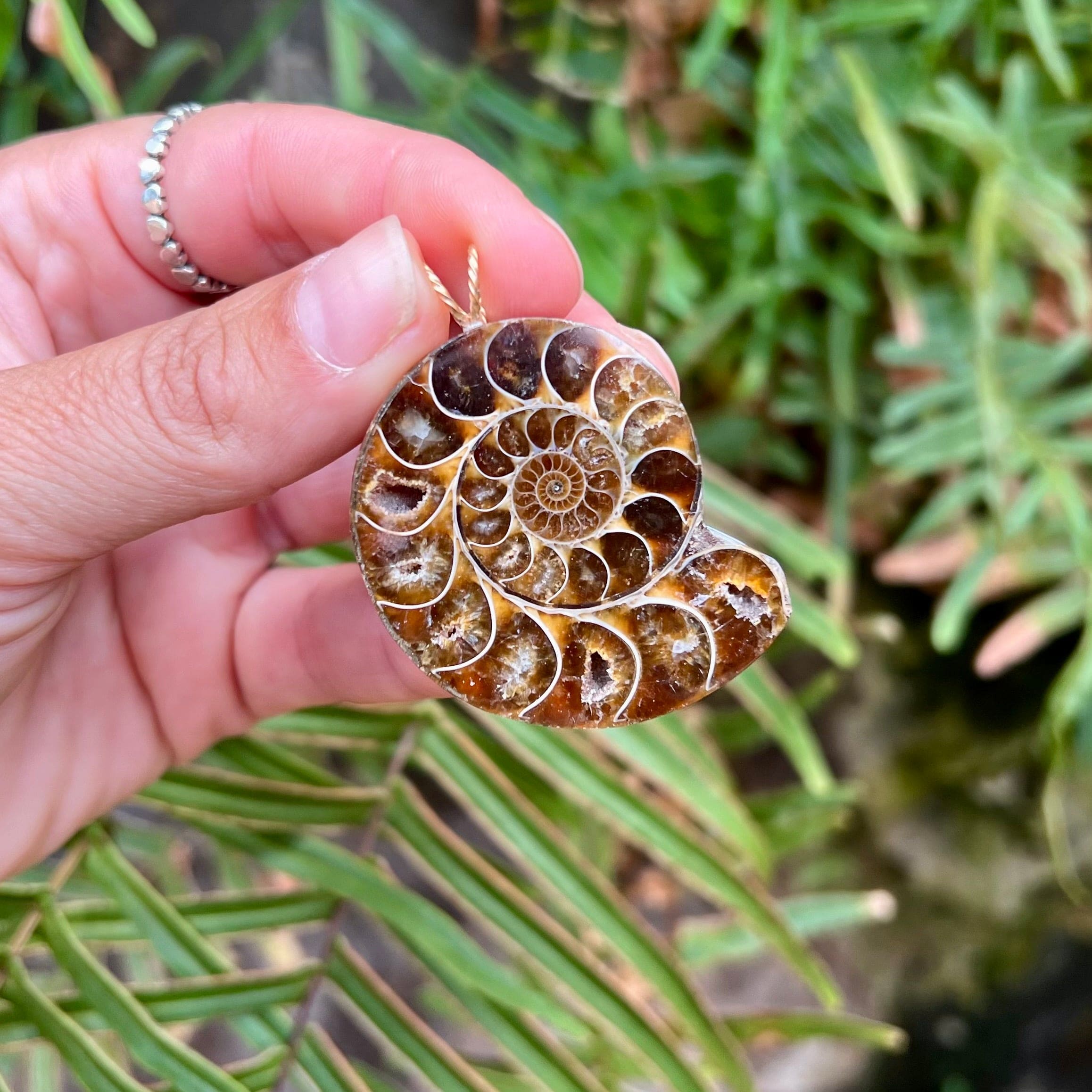 Large Ammonite Pendant | Healing Crystal | Whaler's Locker