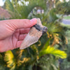 3 5/8 Inch Partial Megalodon Shark Tooth Fossil