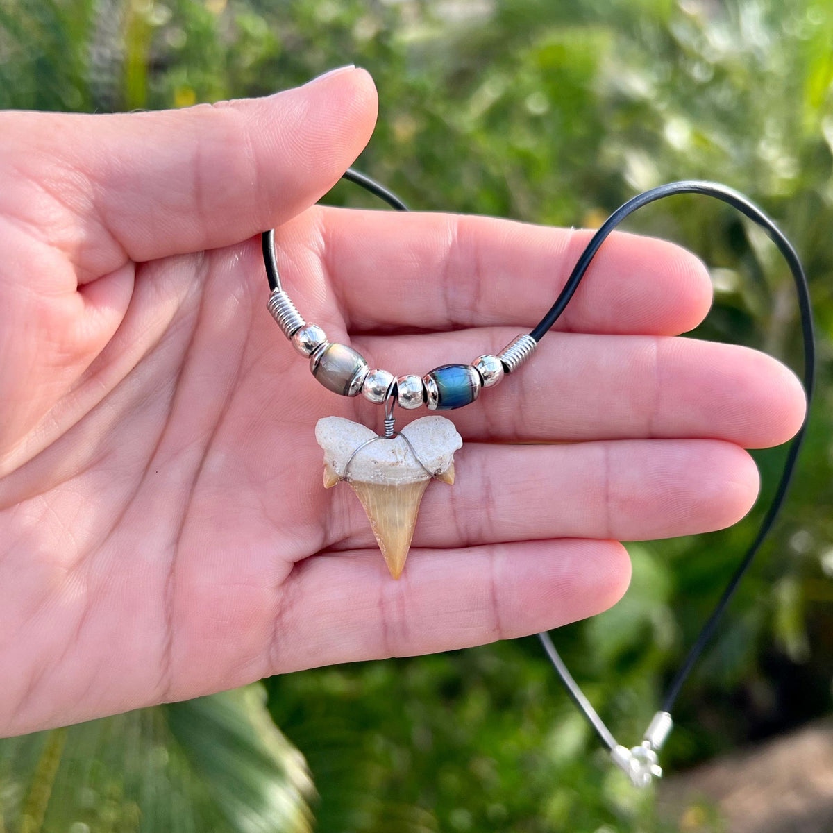 Real shark online tooth pendant