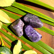 Charoite Medium Freeform Specimens