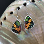 butterfly, butterfly jewelry, butterfly wings, sterling silver, earrings