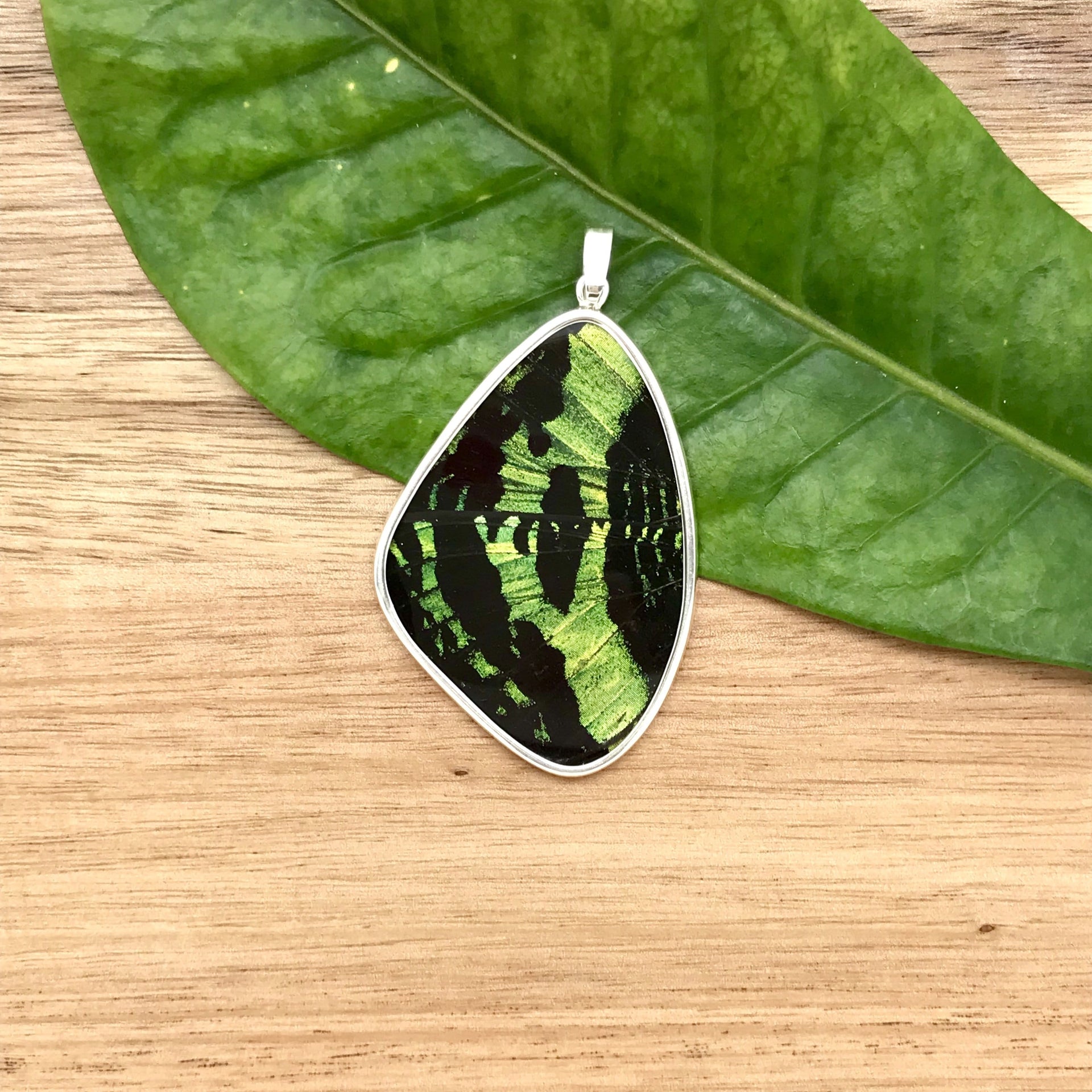 butterfly, butterfly jewelry, butterfly wings, sterling silver, pendant