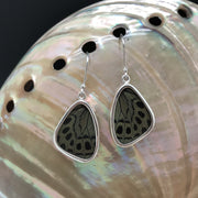butterfly, butterfly jewelry, butterfly wings, sterling silver, earrings