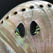 butterfly, butterfly jewelry, butterfly wings, sterling silver, earrings