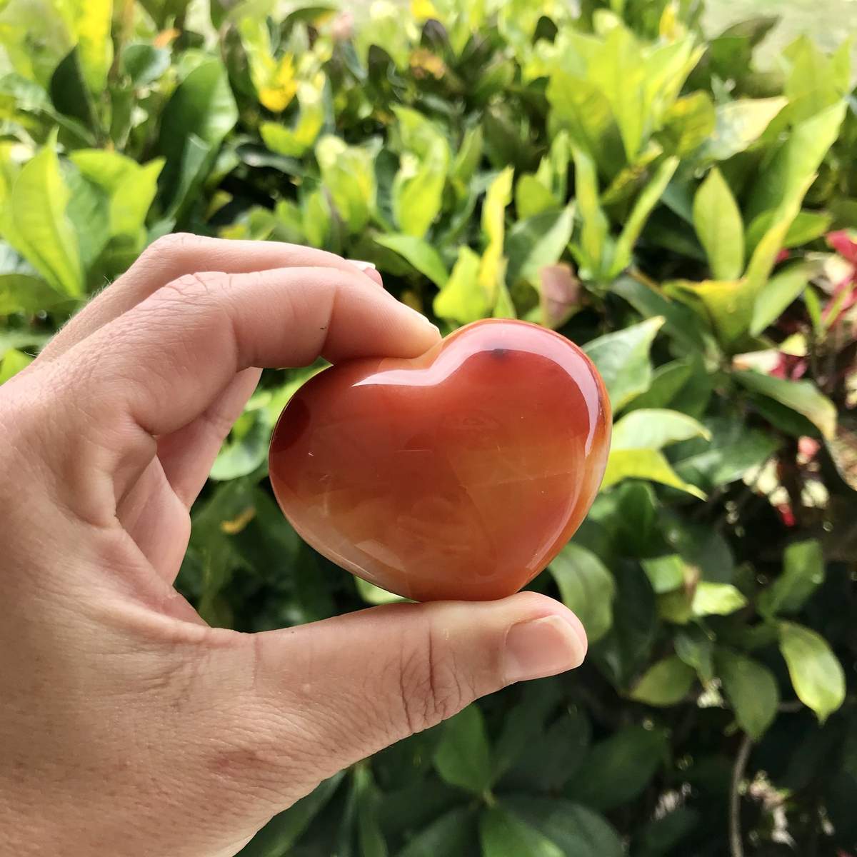 person holding Carnelian Heart Stone