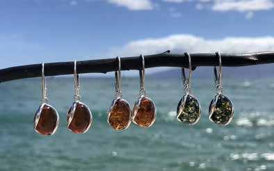 Baltic Amber Earrings Hanging by the Ocean