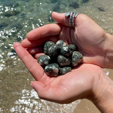 Hands holding small Preseli Bluestone stones