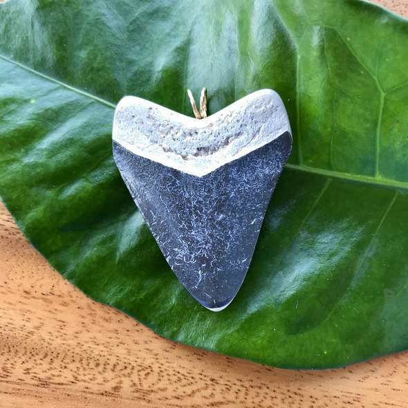 Megalodon tooth pendant