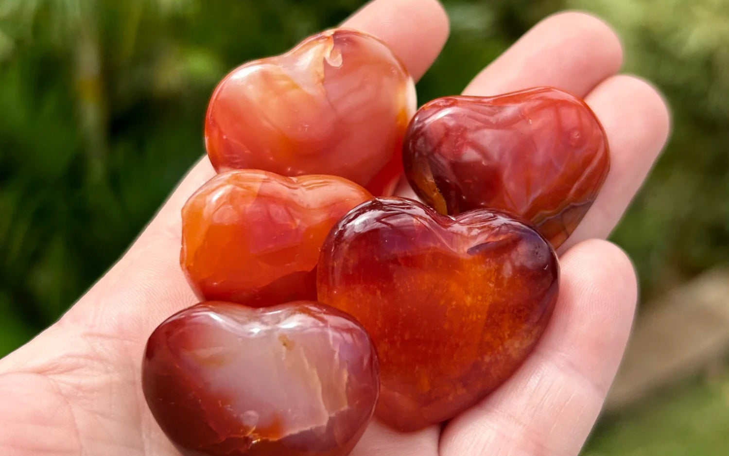 Hand holding healing carnelian heart stones