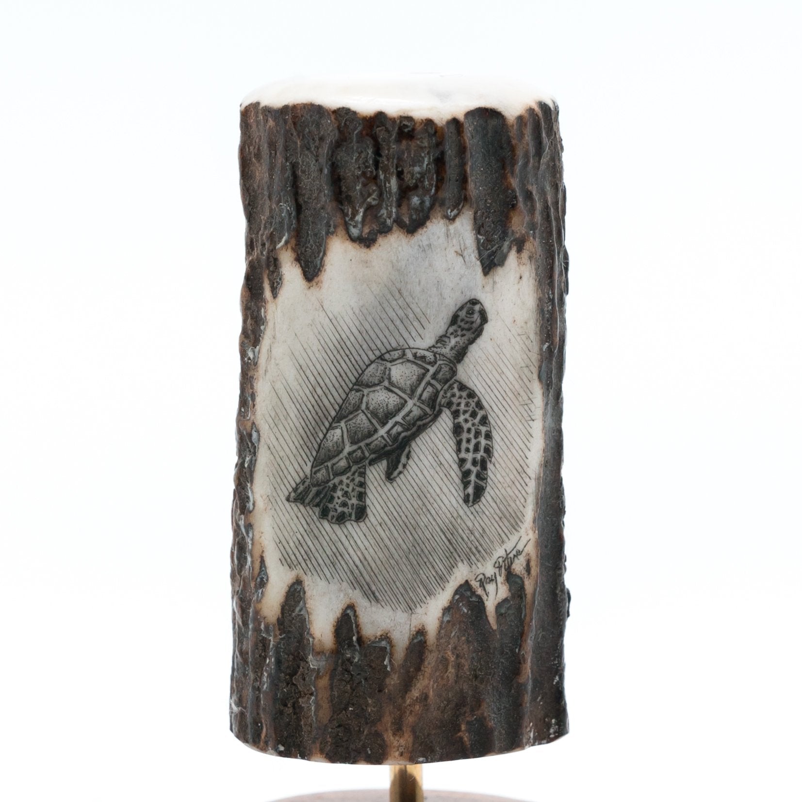 scrimshaw turtles