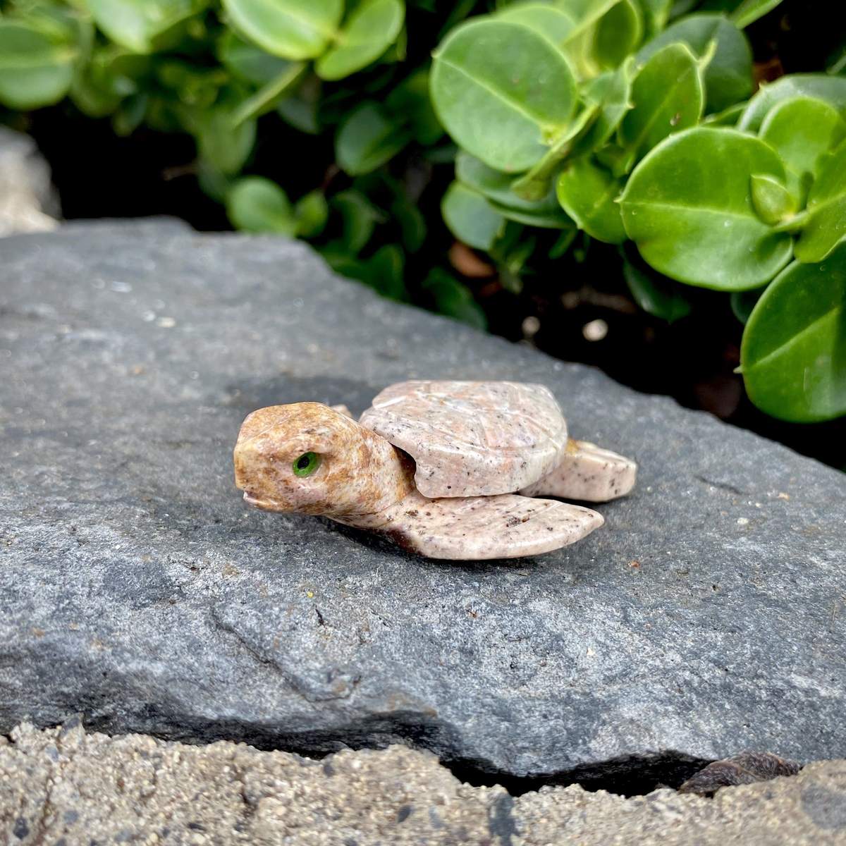 Soapstone Hand Carved Turtle