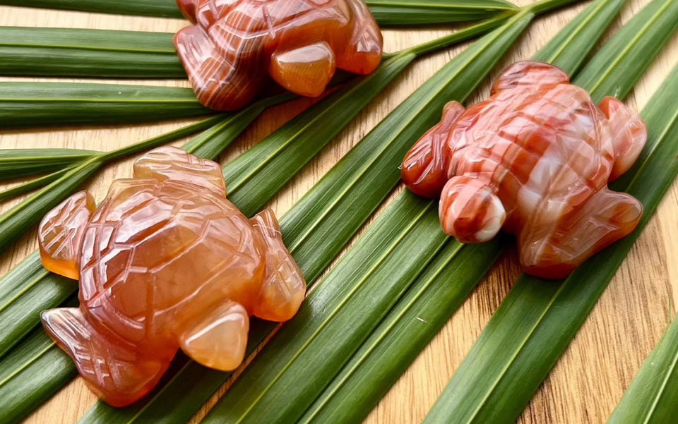 Hand Carved Carnelian Sea Turtles