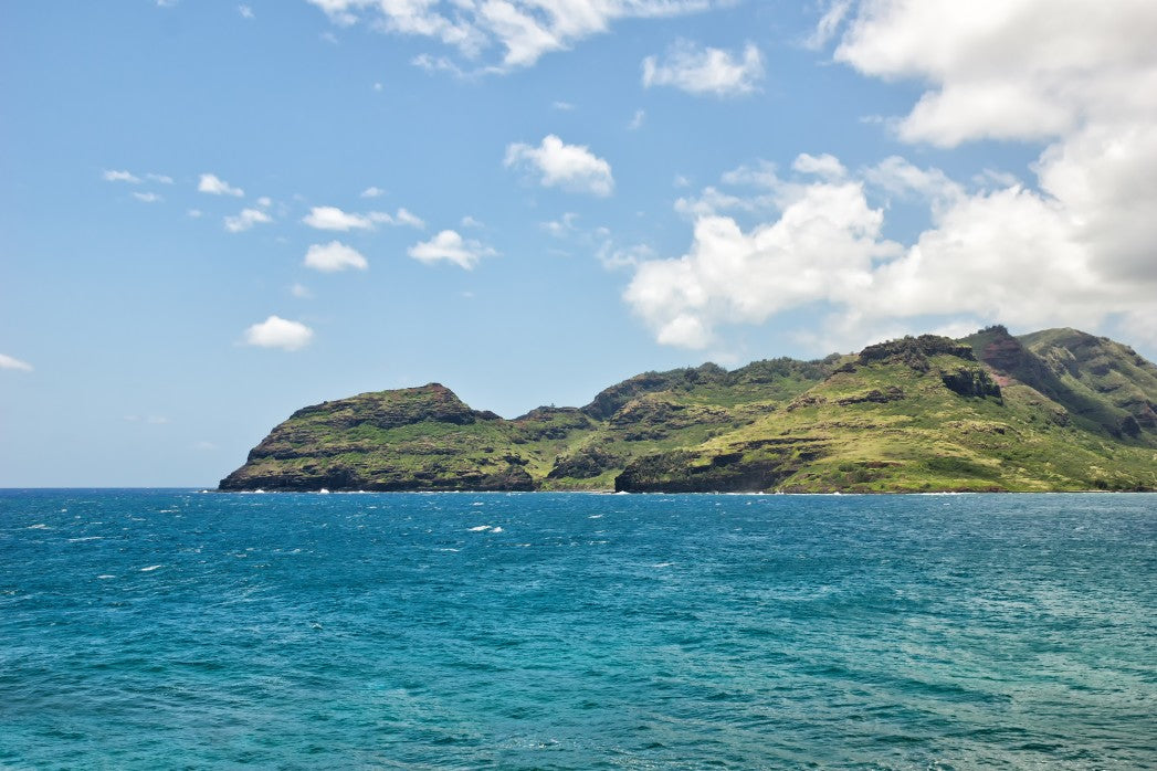 Image off the coast of Kauai Hawaiian Island