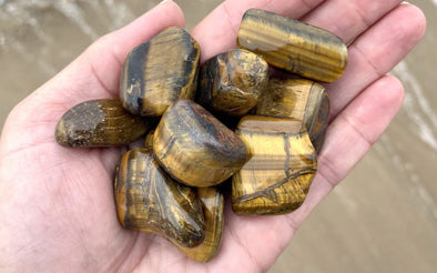 Tiger Eye Polished Pebbles in Hand on the Beach