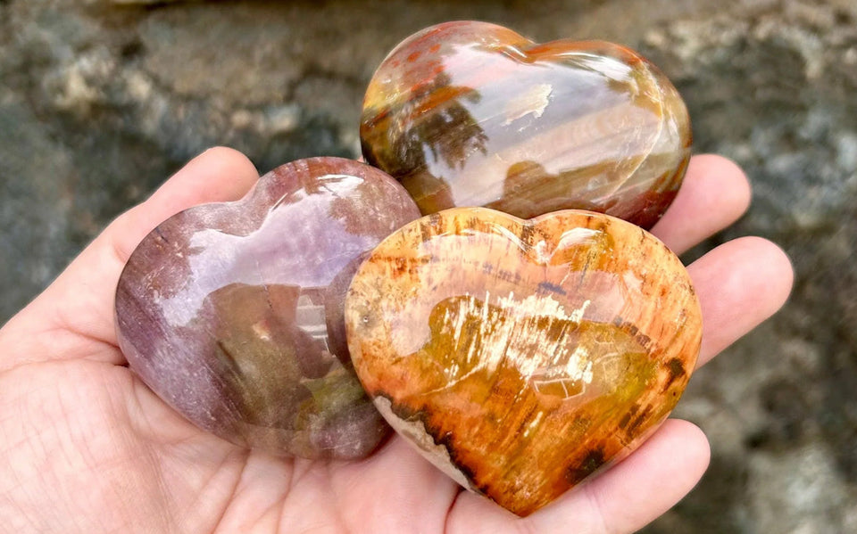 Person holding three Petrified Wood Hearts