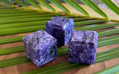 Charoite Cubes on Palm Leaf
