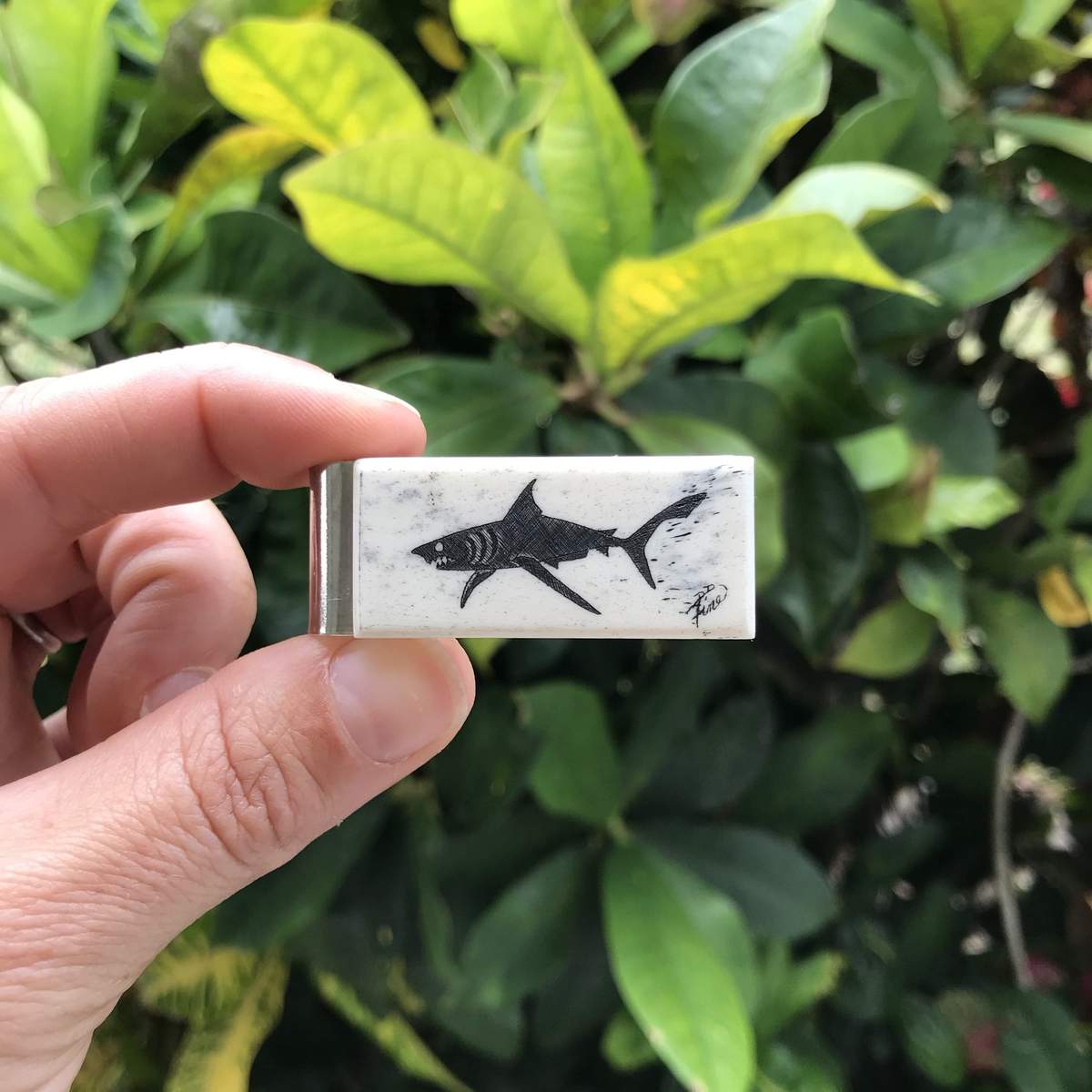 Scrimshaw Slim Money Clip