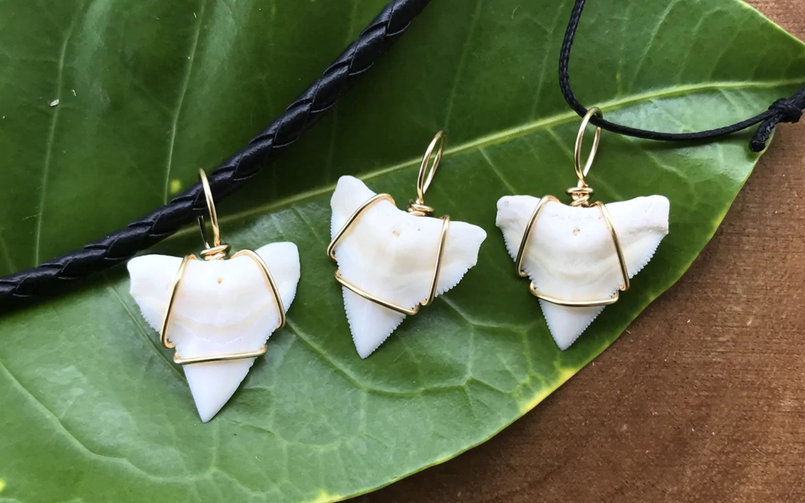 Three shark tooth pendants wrapped with gold-fill wire