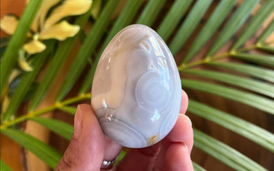 Light Gray Banded Agate Egg and Palm Leaf