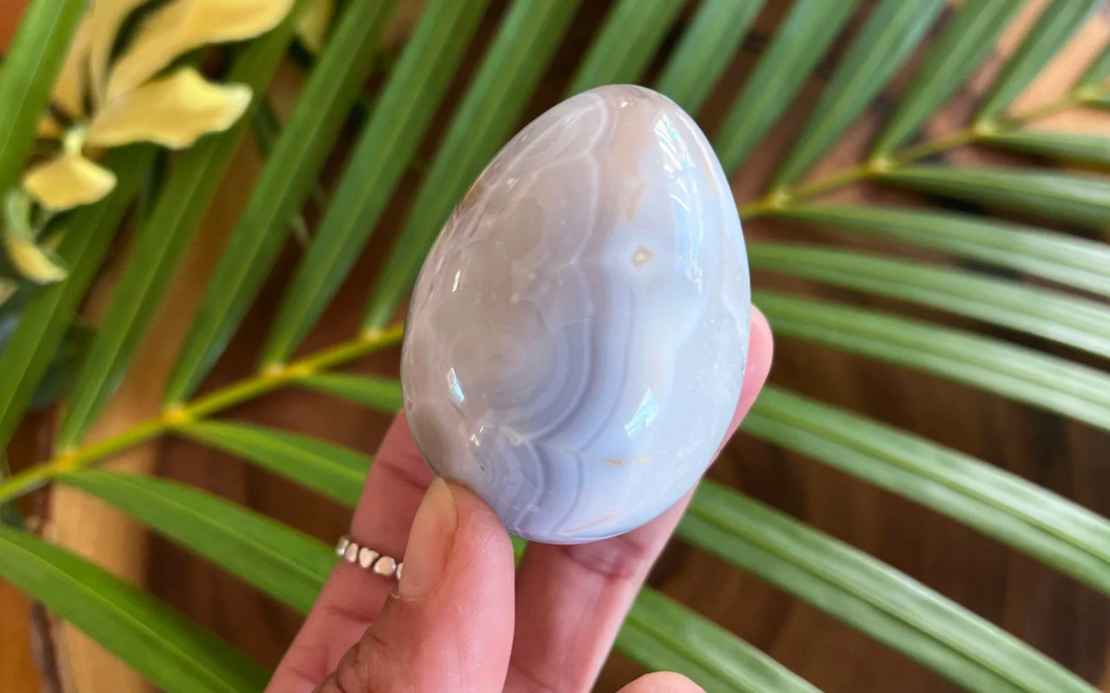 Banded Agate Egg healing crystal