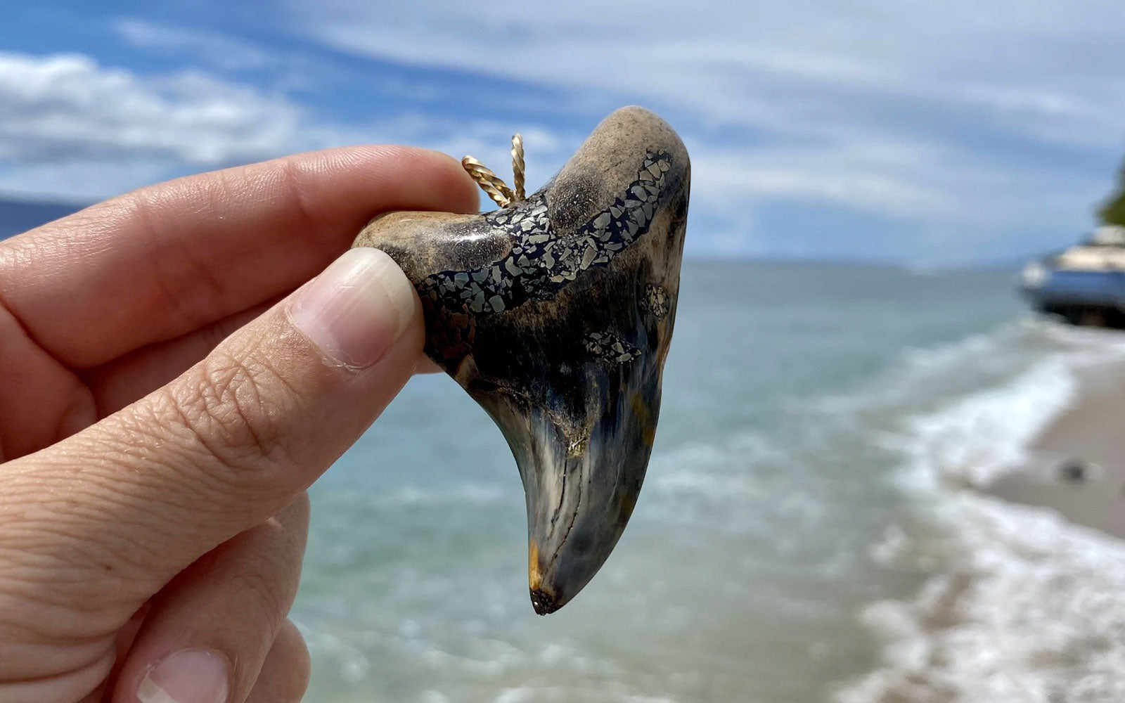 Parotodus Benedini tooth pendant in front of ocean