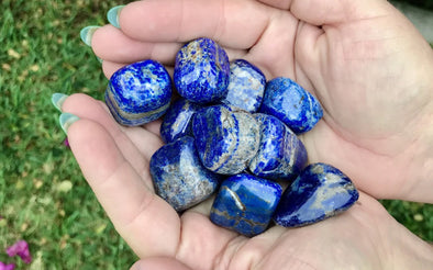 Person holding lapis lazuli pebbles in hands