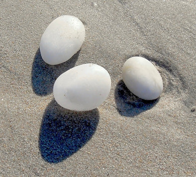 Moonstones in the sand