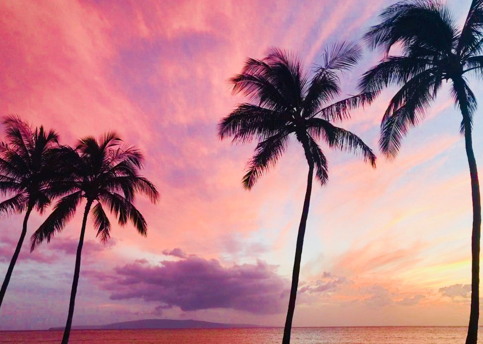 Palm trees at sunset in Maui