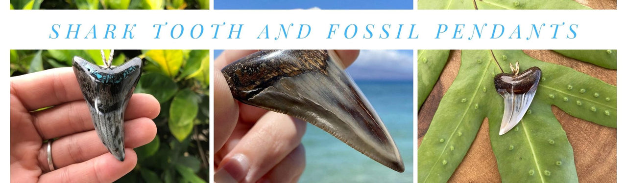 Shark Tooth Fossil Pendants