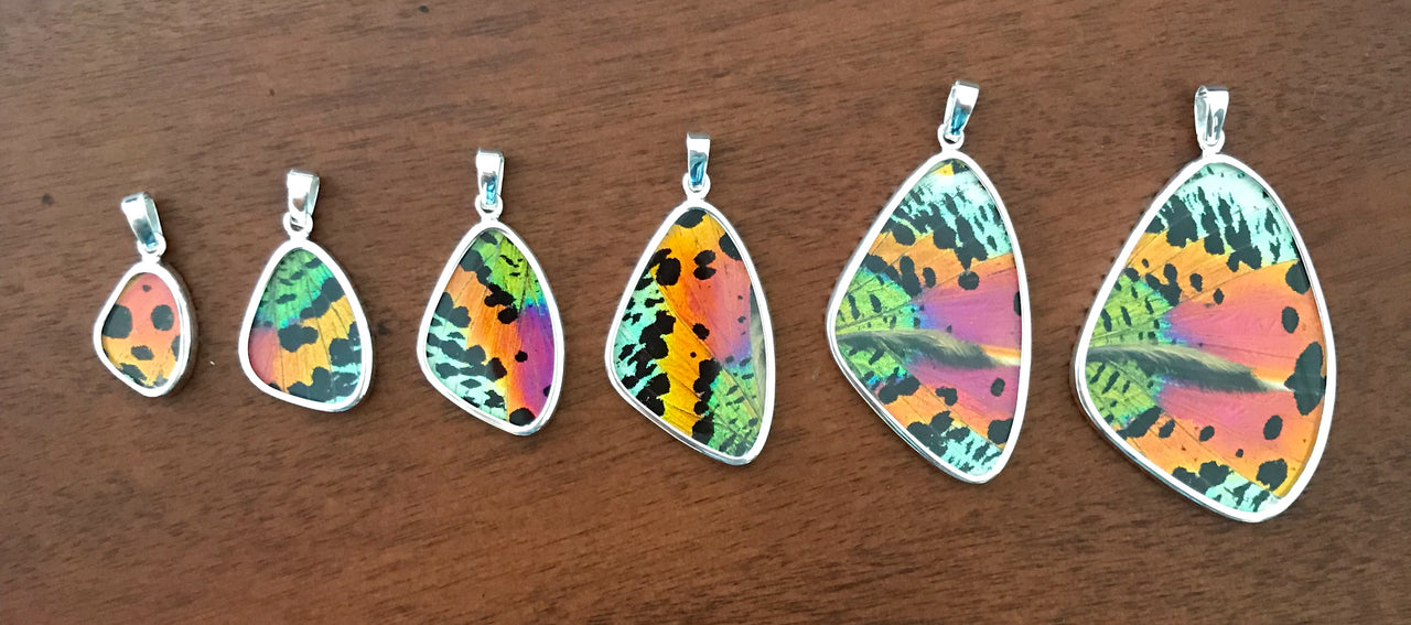 Butterfly Wing Jewelry