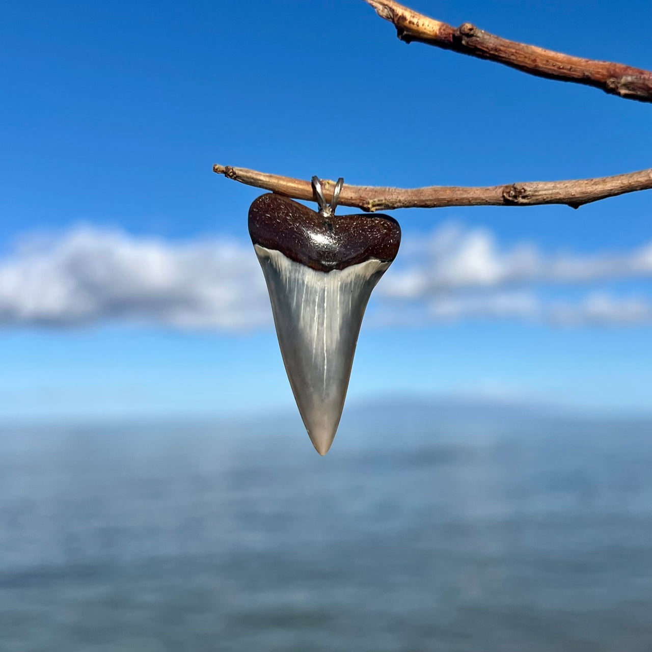 Mako Tooth Pendants