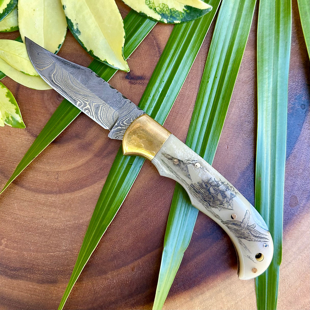 Scrimshaw Knives