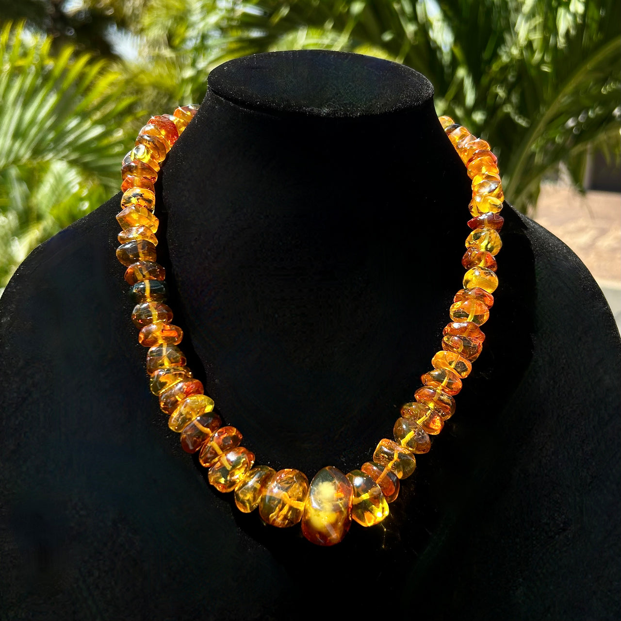 Amber Necklaces