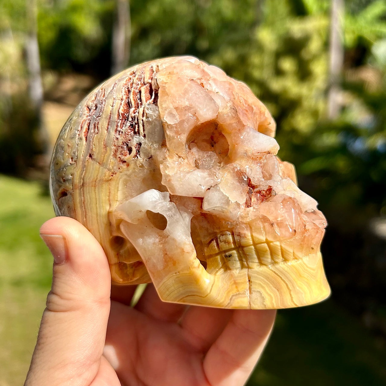 Crystal and Stone Skulls