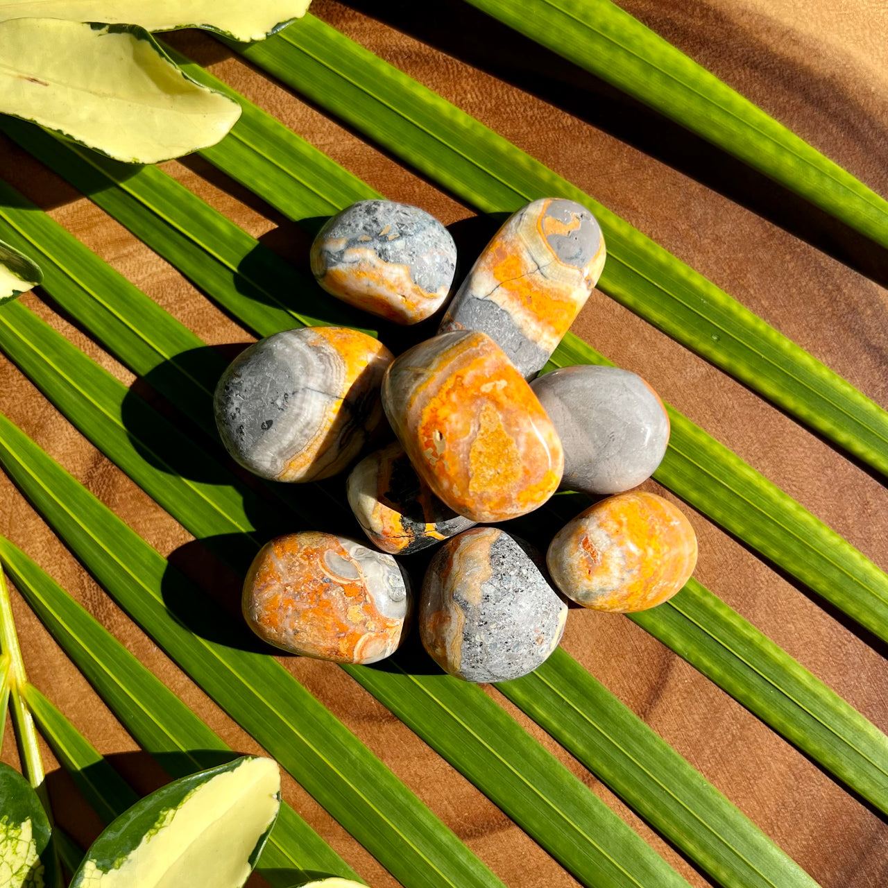 Pebbles and Palm Stones